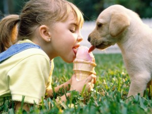 educar-cahorros-perros