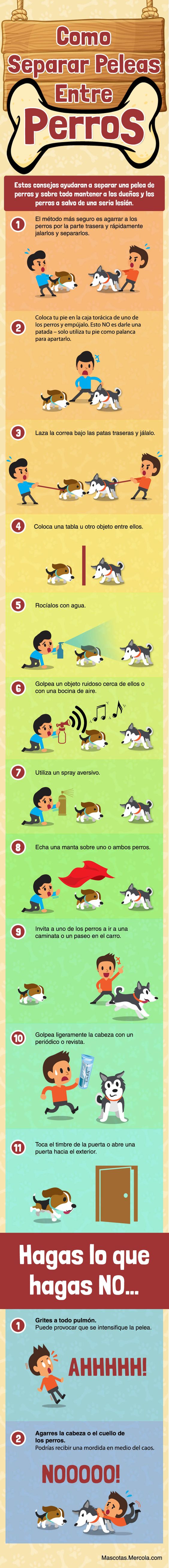 infografia como detener pelea perros